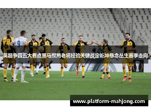 英超争四五大看点黑马搅局老将经验关键战定乾坤悬念丛生赛季走向
